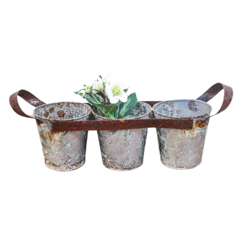 Rustic Zinc Pot Plant Holder with Handle Outdoors Decor Gift